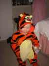 tigger.jpg (25734 bytes)